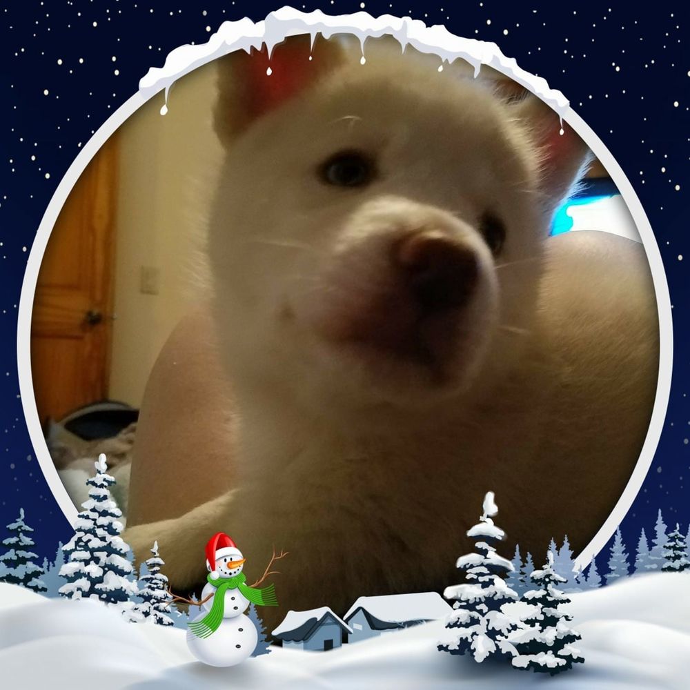 Meet your Posher, Tami ann